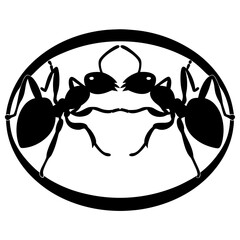 Symmetrical Ants in Silhouette Contained within Oval Shape Illustrating Insect Communication