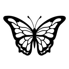 Fototapeta premium Monochrome butterfly illustration with intricate wing patterns, evoking elegance and simplicity