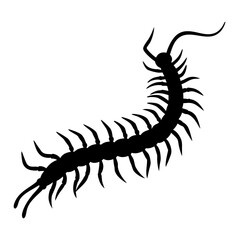 Silhouette of a centipede with many legs, isolated on white background
