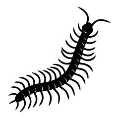 Striking silhouette of a centipede with many legs against a white background