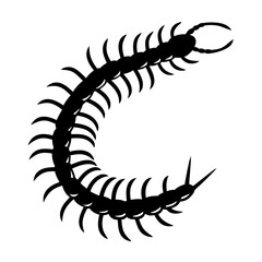 Silhouette of a Centipede with Many Legs Curving in a C Shape