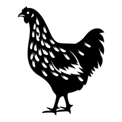 Silhouette of a chicken or hen with intricate feather details in black