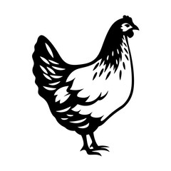 Black and white illustration of a chicken, hen, poultry side view