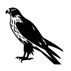 Fototapeta premium Majestic bird of prey a falcon standing tall and proud artwork