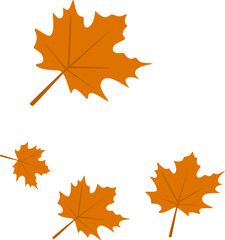 Autumn Maple Leaves Fall