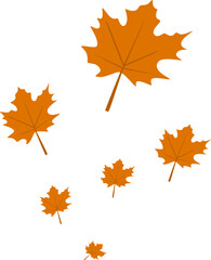 Autumn Maple Leaves Fall