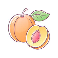 A Delicious Illustration of a Ripe Peach Halved Showing Juicy Inside and a Whole Peach with Green Leaf