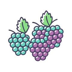 A Delightful Cluster of Sweet and Juicy Blackberries Ready to Eat