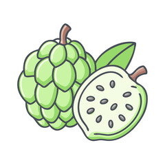A Detailed Illustration of a Cherimoya Fruit Whole and Halved Showing its Seeds and Green Exterior