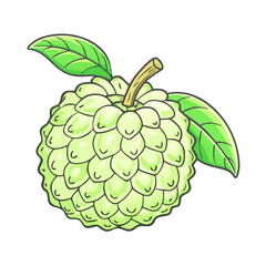 A Detailed Illustration of a Cherimoya Fruit with Vibrant Green Leaves