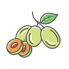 Illustration of Fresh Juicy Green Plums with Sliced Pieces Showing Vibrant Orange Flesh and a Single Green Leaf