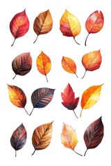 Fototapeta premium Watercolor Autumn Leaves Composition in Red Brown Orange and Yellow Tones on White Background Artistic Fall Foliage Illustration