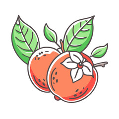 Illustration of two ripe persimmons with leaves and a blossom