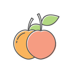 A Pair of Freshly Picked Ripe Apricots with Green Leaves