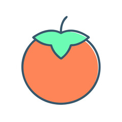 Illustration of a single ripe persimmon fruit with a green calyx