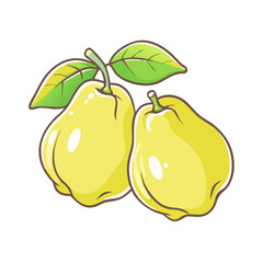Two Ripe Yellow Quinces with Green Leaves Fresh and Juicy Fruit Illustration