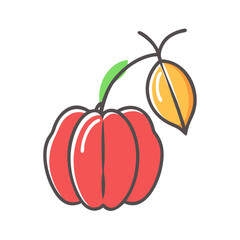 Illustration of a ripe red physalis fruit with its husk and stem