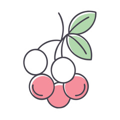A Delightful Cluster of Ripe Cherries on a Branch with Lush Green Leaves A Vibrant Illustration of Summer Fruit