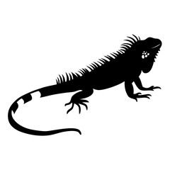 Fototapeta premium Black silhouette of a large iguana with spiky scales on a white background
