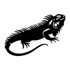 Black silhouette of a green iguana lizard reptile isolated on white