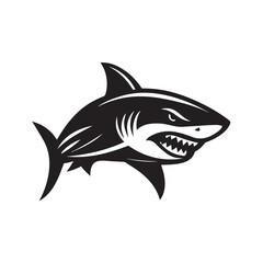 shark vector illustration