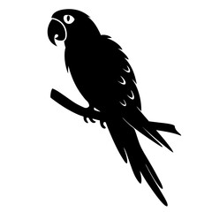 A black silhouette of a parrot perched on a branch against a white background tropical bird wildlife avian fauna exotic feathered creature