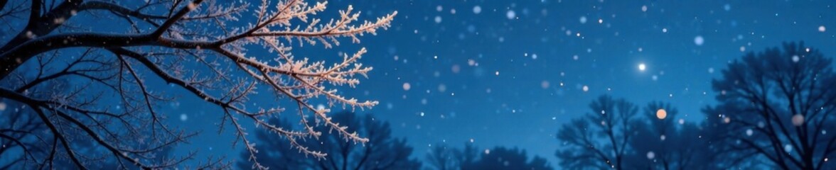 Delicate branches of bare trees are adorned with sparkling frost and twinkling icicles against a dark blue night sky, dark blue, nature, icicles