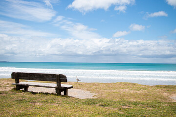 bench on the beach of Great Ocean Road