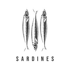 sardines fish vintage logo design vector template illustration