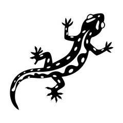 Stylized Black and White Gecko Lizard Reptile Illustration Graphic Design
