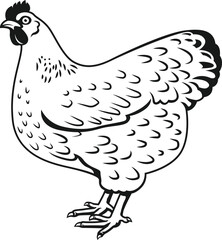 silhouette New Hampshire Breed of chickens Vector illustration 