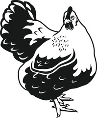 silhouette New Hampshire Breed of chickens Vector illustration 
