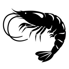 A Striking Black and White Illustration of a Shrimp Featuring Intricate Details and a Dynamic Pose