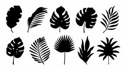  set of Tropical leaves vector silhouette vector © Rani