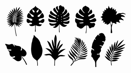 Fototapeta premium set of Tropical leaves vector silhouette vector