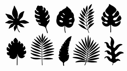  set of Tropical leaves vector silhouette vector
