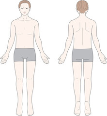 正面と背面から見た男性の身体	
