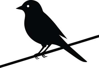 Bird on wire silhouette