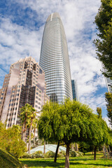 Fototapeta premium San Francisco's stunning skyscrapers rise against the sky