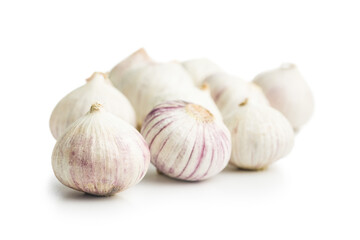 Solo glove garlic bulbs isolated on white background.