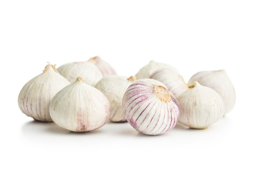 Solo glove garlic bulbs isolated on white background.
