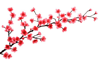 Graceful branch of blossoming sakura on transparent background