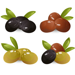 Set olives. For bottle product package, cuisine cooking or salad.Vector image of olives in cartoon flat simple style