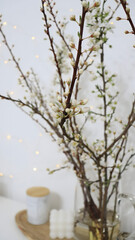 cherry branches with flowers