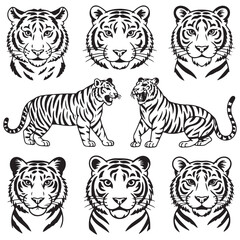 Set of big tigers. Collection of portraits of predatory wild cats. Set of wildlife and fauna dwellers. Vector Black silhouettes. illustration on a white background. Tattoo.