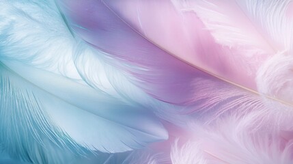 Obraz premium Dreamy Pastel Feathers Floating Softly on a Gentle Background