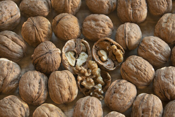 walnut kernels with walnuts in shell