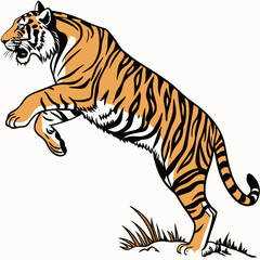 Vector Illustration Of A Leaping Tiger With Angry Expression Isolated On White Background Ready To Strike With Minimalist Style