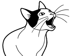 Black And White Line Art Illustration Of A Yawning Cat Displaying Whiskers With Open Mouth And Teeth