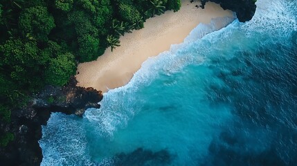 Aerial View of a Turquoise Ocean Meeting Sandy Shoreline and Lush Green Vegetation